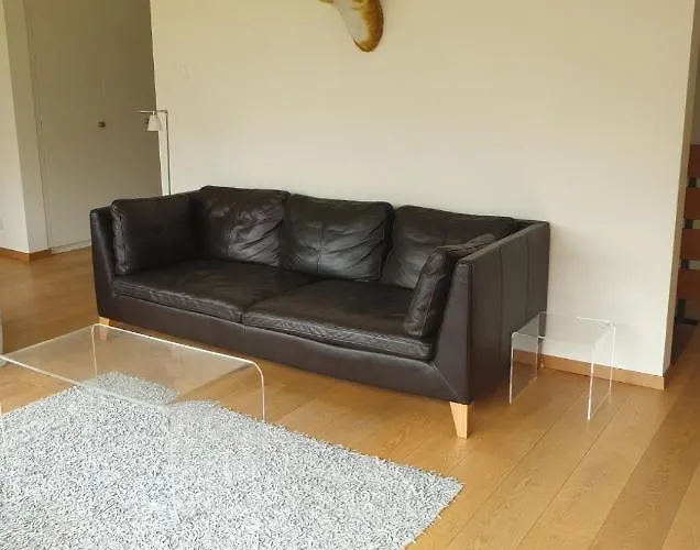 جونغفراو مورين