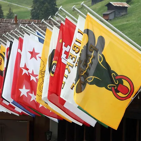 מלון Jungfrau 3*