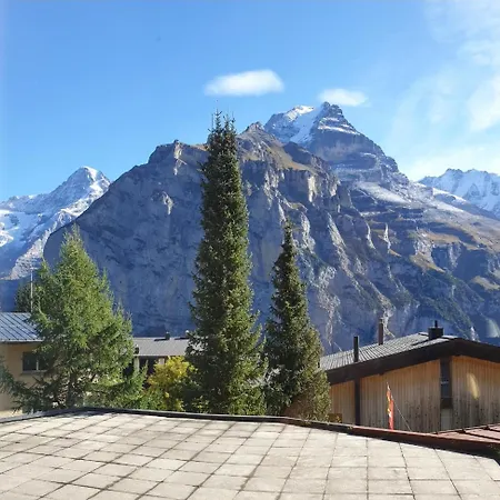Отель Jungfrau
